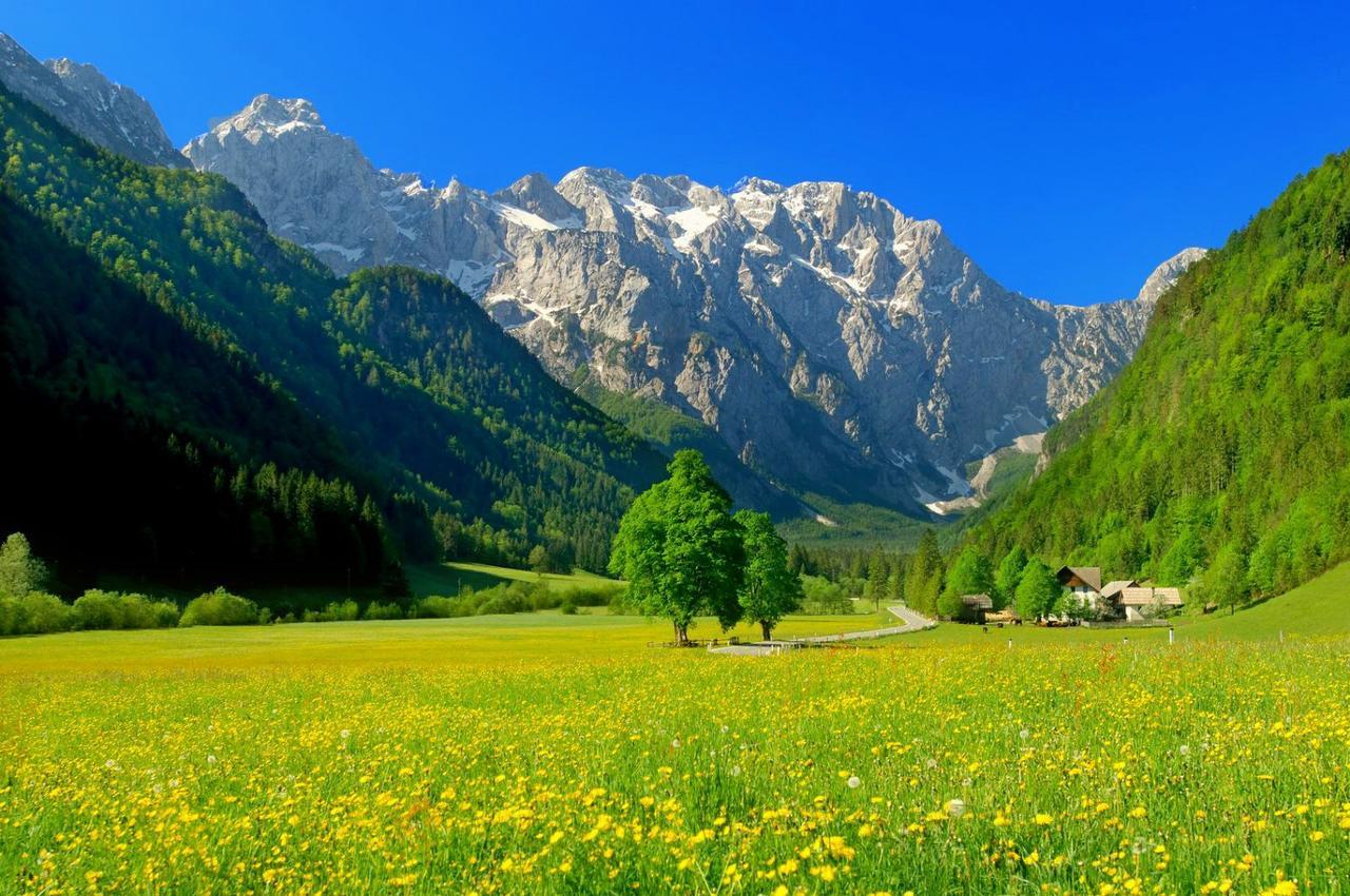 Hotel Planinka Ljubno Buitenkant foto